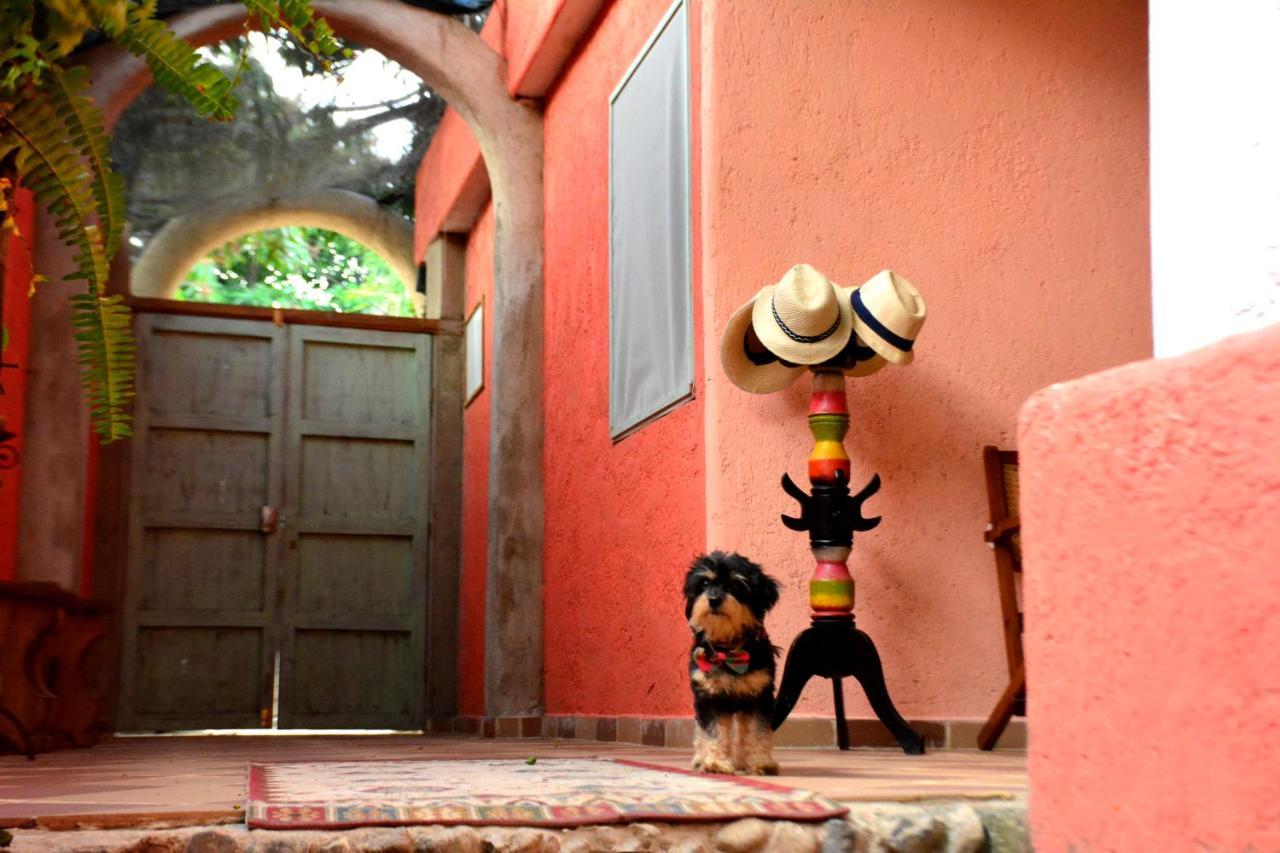 La Percha Hostal Palomino Bagian luar foto